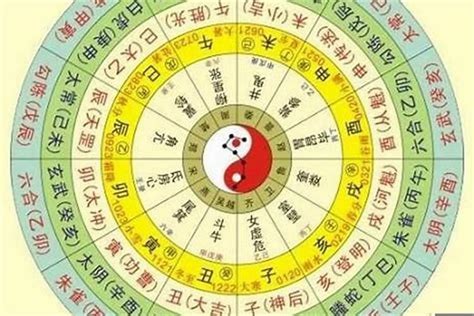 狗金生意思|十二生肖五行性格分析